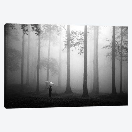 After The Rain Canvas Print #OXM3550} by Hengki Lee Canvas Print