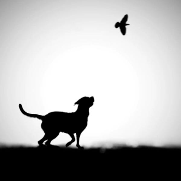 Exploration: The Clue by Hengki Lee