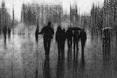 Roswitha Schleicher-Schwarz