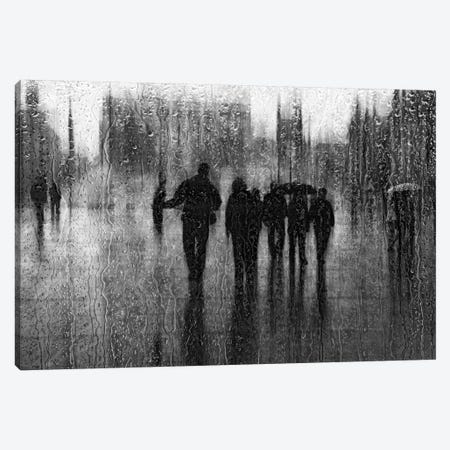 After The Rain Canvas Print #OXM355} by Roswitha Schleicher-Schwarz Canvas Art Print