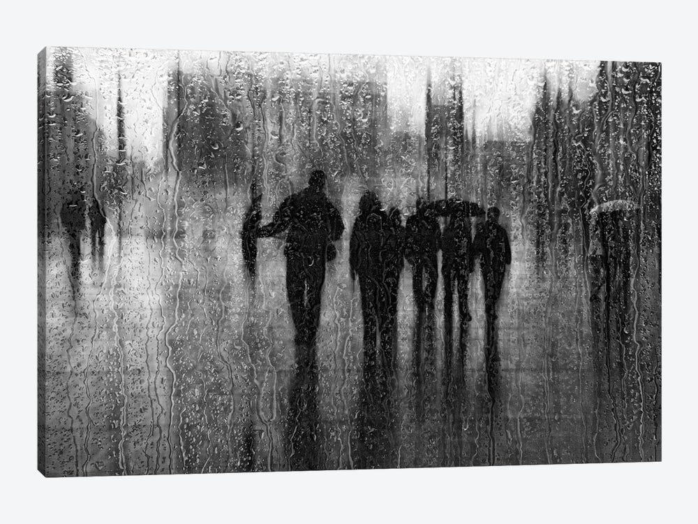 After The Rain by Roswitha Schleicher-Schwarz 1-piece Art Print