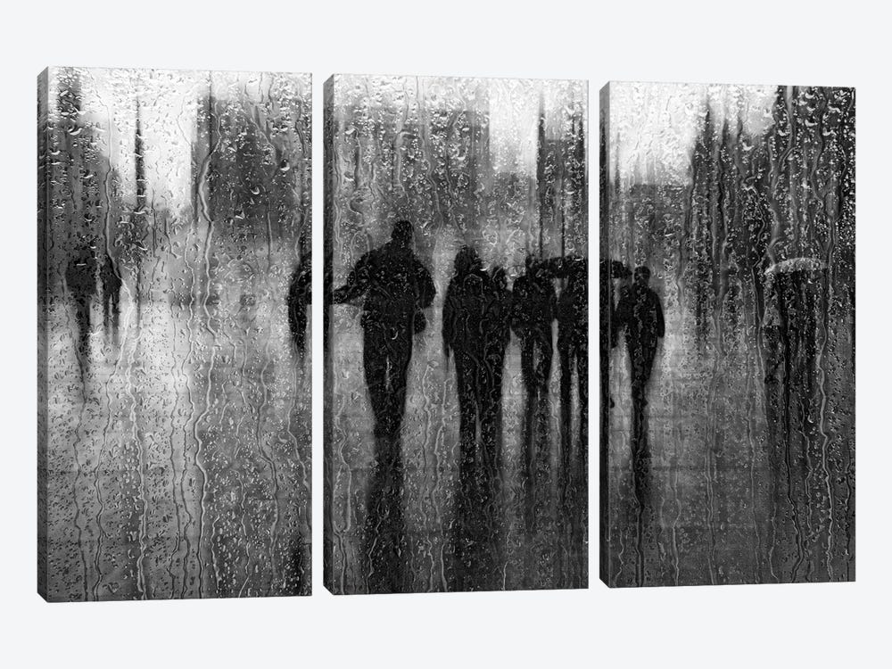After The Rain by Roswitha Schleicher-Schwarz 3-piece Canvas Art Print