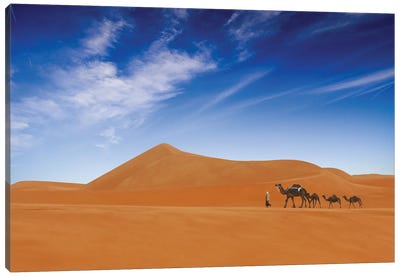 Desert Life Canvas Art Print