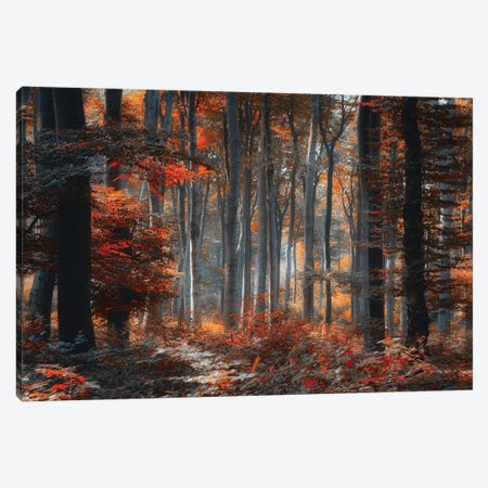 Painting Forest Canvas Print #OXM3579} by Ildiko Neer Canvas Print