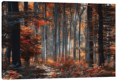 Painting Forest Canvas Art Print - 1x Collection