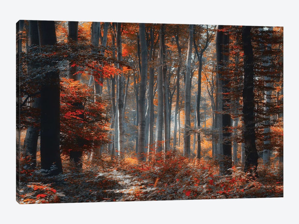 Painting Forest by Ildiko Neer 1-piece Art Print