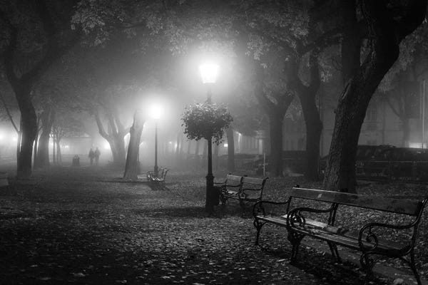 City Parks: Foggy Day by Ilias Nikoloulis