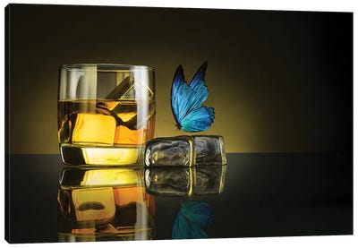 Butterfly Drink Canvas Art Print