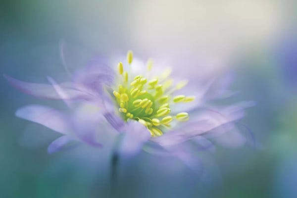 Jacky Parker