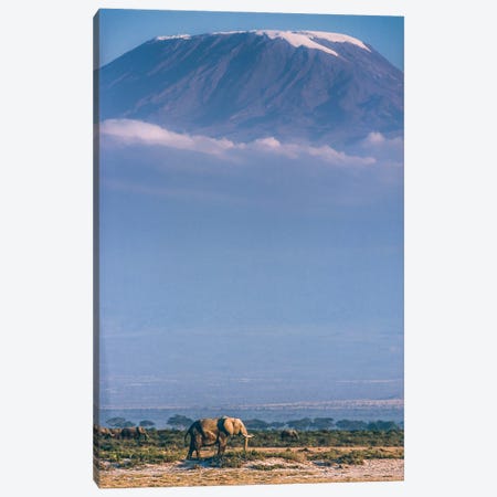 Kilimanjaro And The Quiet Sentinels Canvas Print #OXM3628} by Jeffrey C. Sink Art Print