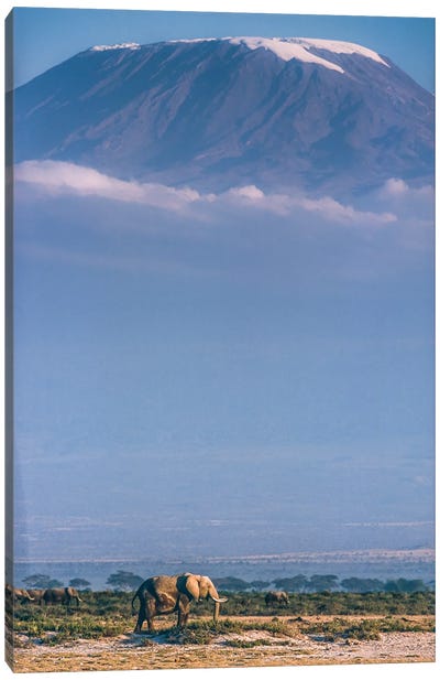 Kilimanjaro And The Quiet Sentinels Canvas Art Print
