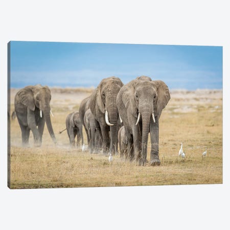 The World's Greatest Parade Canvas Print #OXM3632} by Jeffrey C. Sink Canvas Art