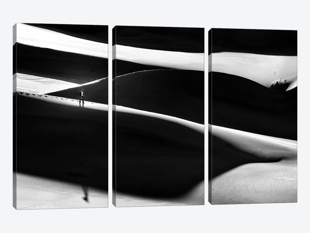In The Shadowland 3-piece Canvas Print