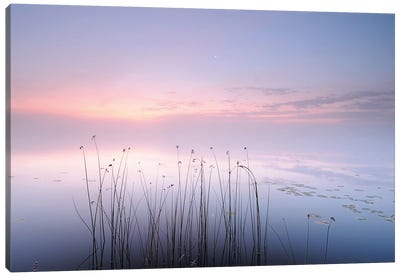 Lake Canvas Art Print - Cloudy Sunset Art