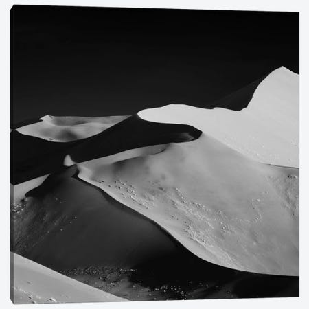 Abstract Dunes Canvas Print #OXM369} by Mathilde Guillemot Canvas Art Print