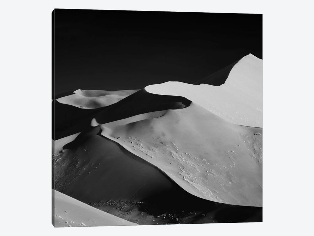 Abstract Dunes by Mathilde Guillemot 1-piece Canvas Artwork