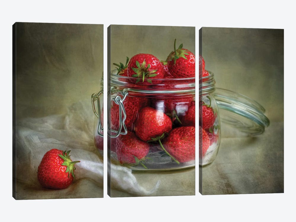 Tastes Of Summer by Mandy Disher 3-piece Canvas Art