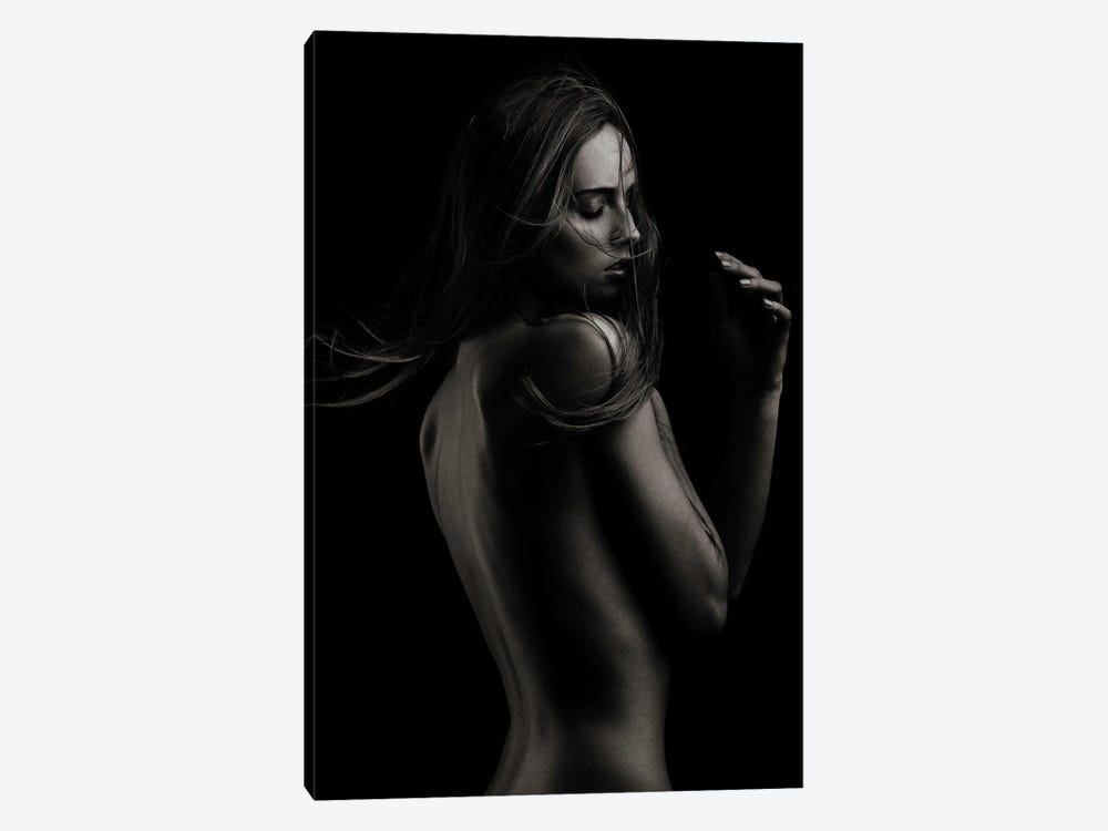 Sensual Beauty by Martin Krystynek 1-piece Canvas Art Print