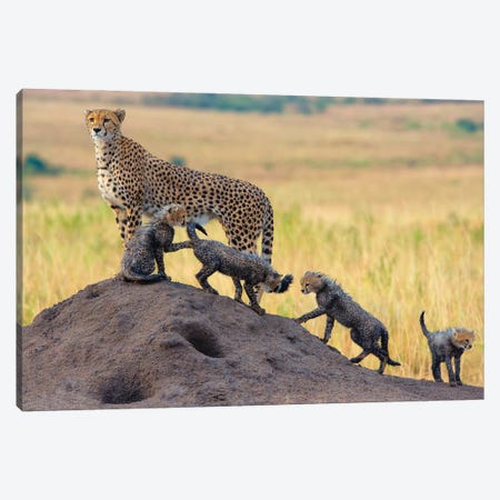 Family Canvas Print #OXM3859} by Mohammed Alnaser Canvas Artwork