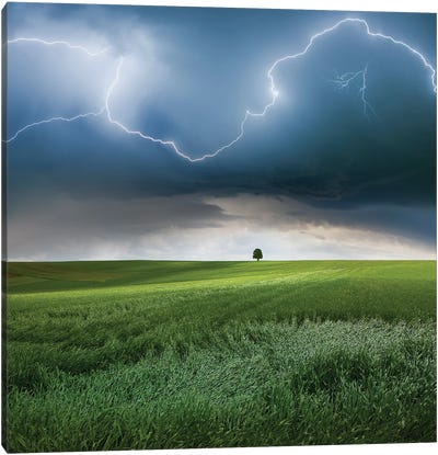 Someplace In Summer Canvas Art Print - Lightning
