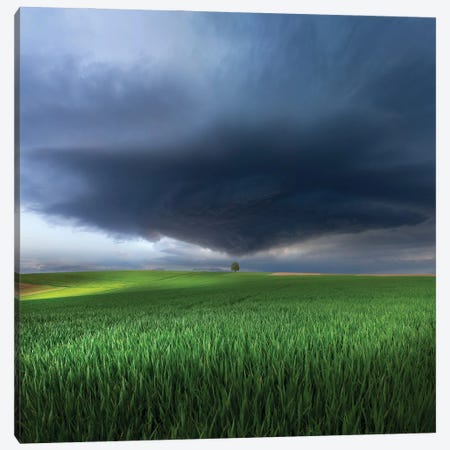 Thunderstorm Cell Over The Alb Plateau Canvas Print #OXM3875} by Nicolas Schumacher Art Print