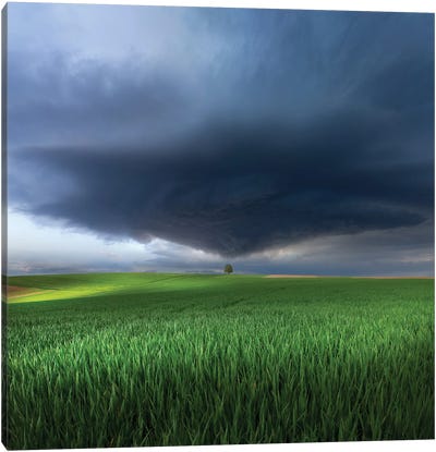 Thunderstorm Cell Over The Alb Plateau Canvas Art Print