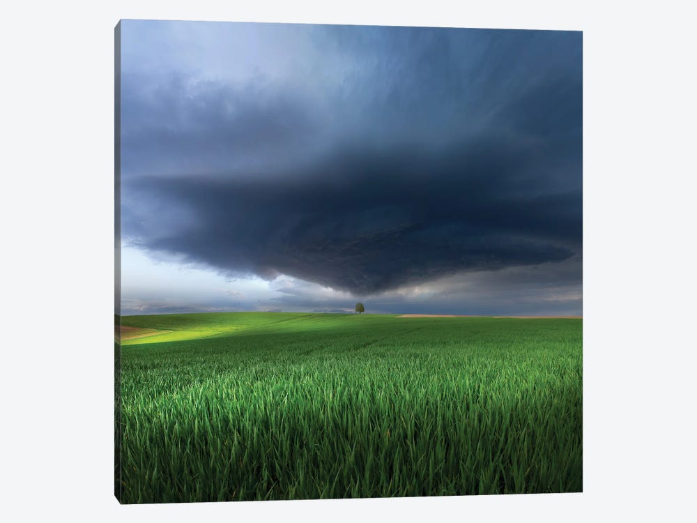 Thunderstorm Cell Over The Alb Plateau 1-piece Canvas Artwork