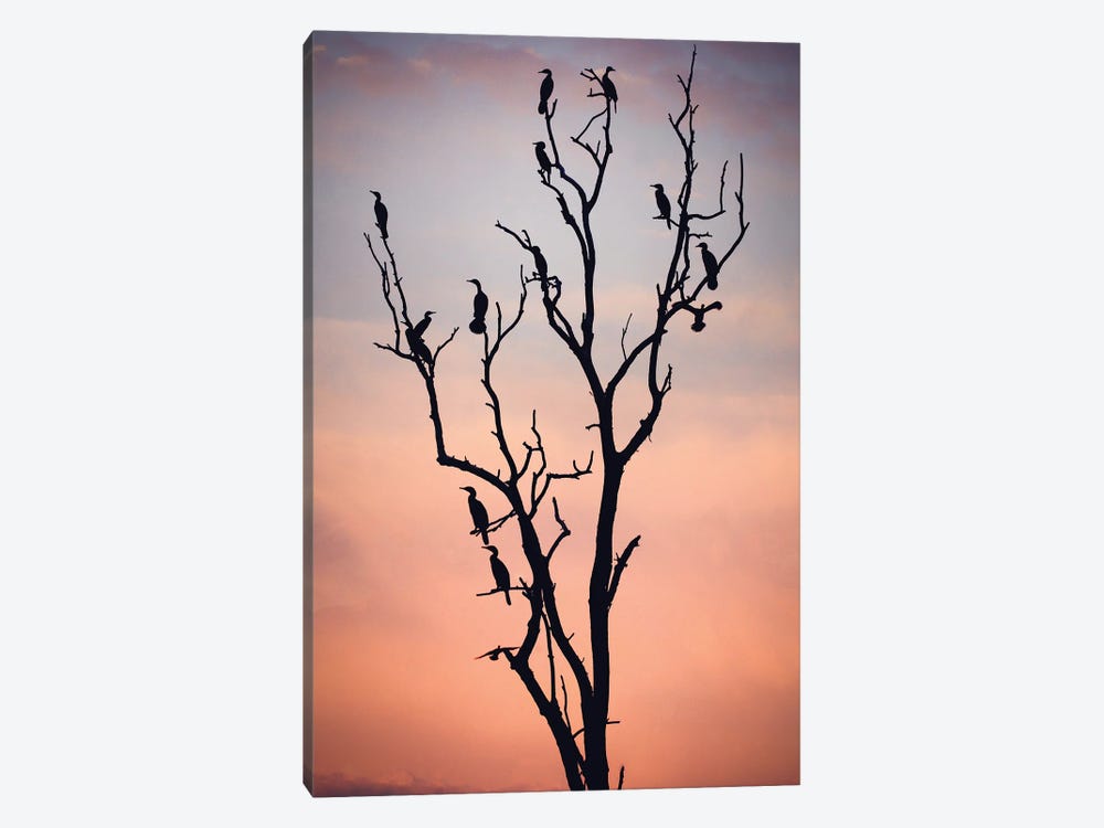 Before The Sunset 1-piece Canvas Art Print
