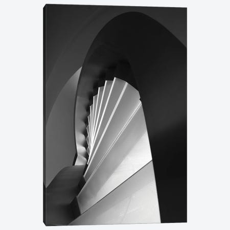 Straight And Curves Lines Canvas Print #OXM3890} by Olavo Azevedo Canvas Art