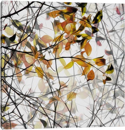 Autumn Song Canvas Art Print - Nature Close-Up Art