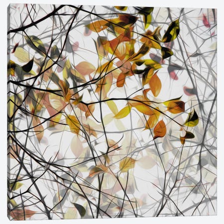 Autumn Song Canvas Print #OXM391} by Gilbert Claes Canvas Art