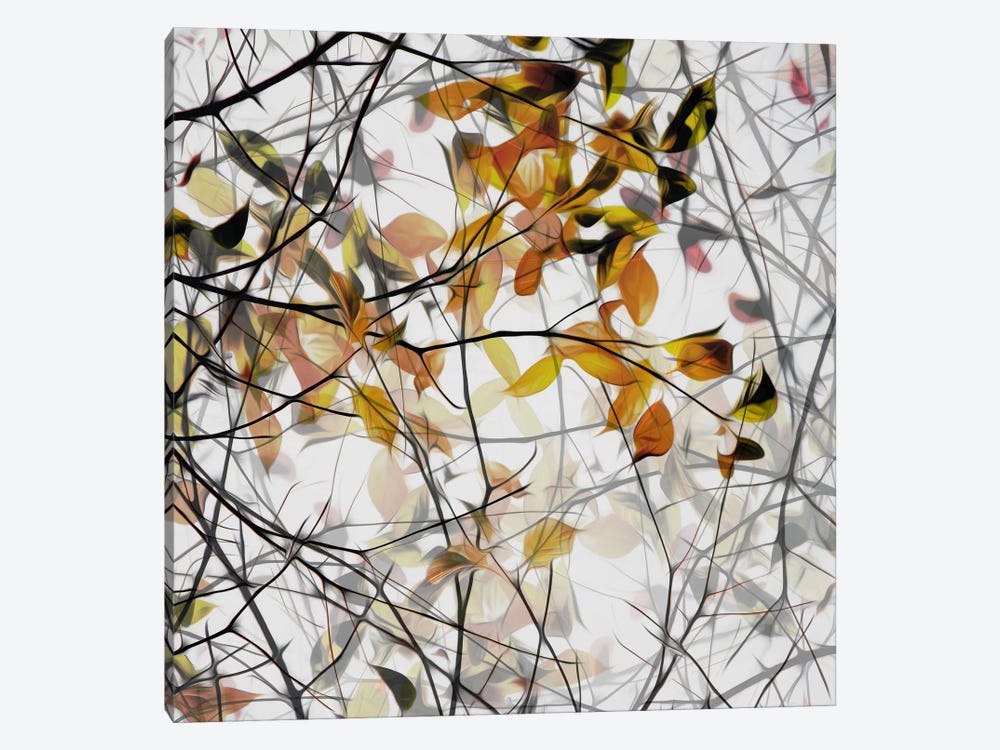 Autumn Song by Gilbert Claes 1-piece Art Print