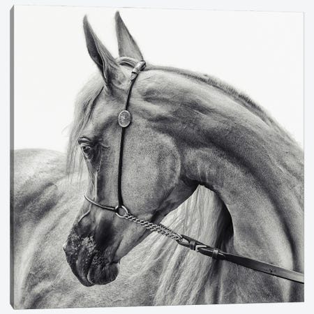 The Arabian Horse Canvas Print #OXM3945} by Piet Flour Art Print