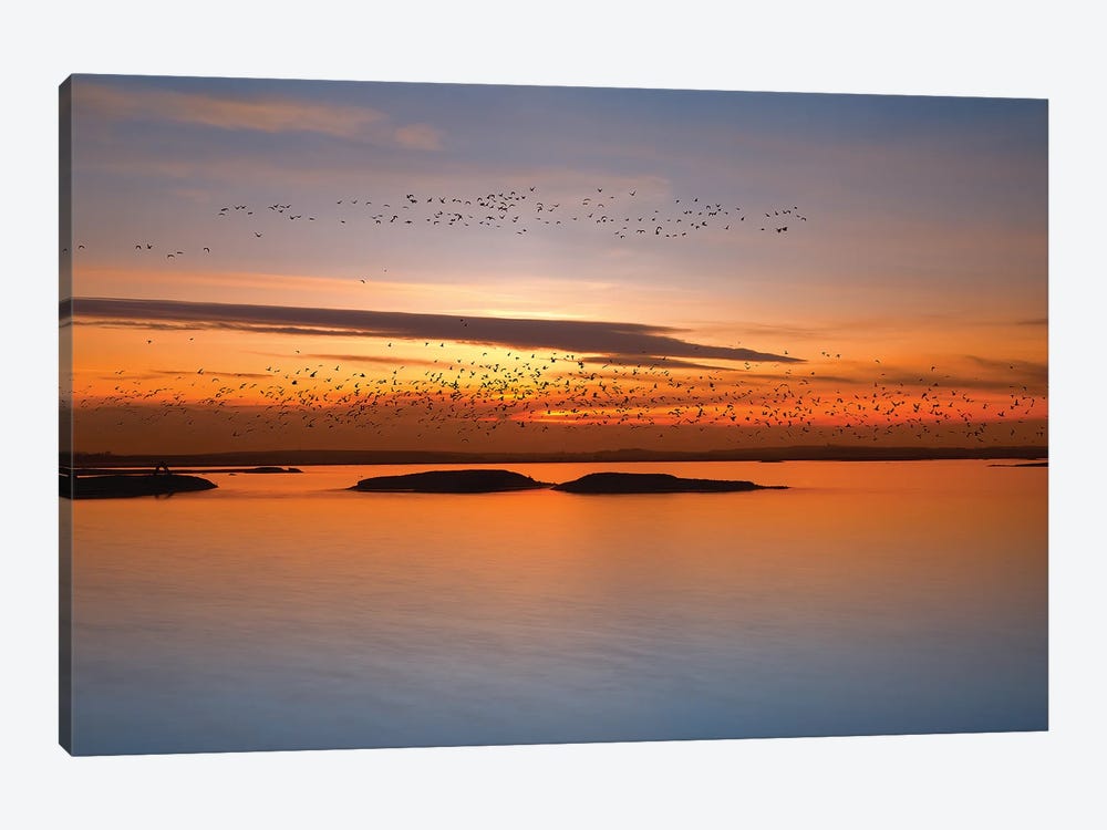 By Sunset by Piotr Krol 1-piece Canvas Print