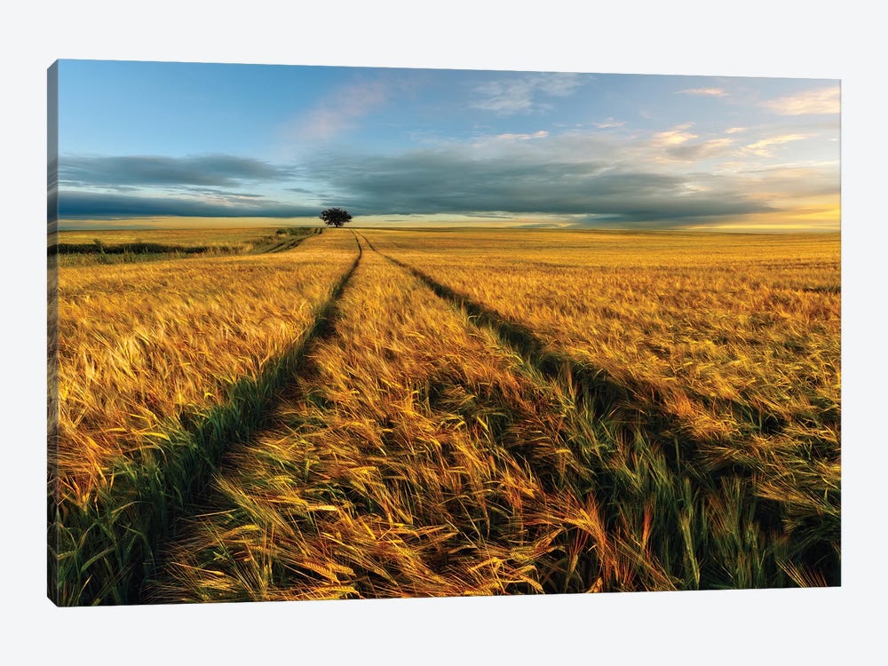 Countryside 1-piece Canvas Wall Art