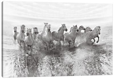 Illusion Of Power (13 Horse Power Though) Canvas Art Print
