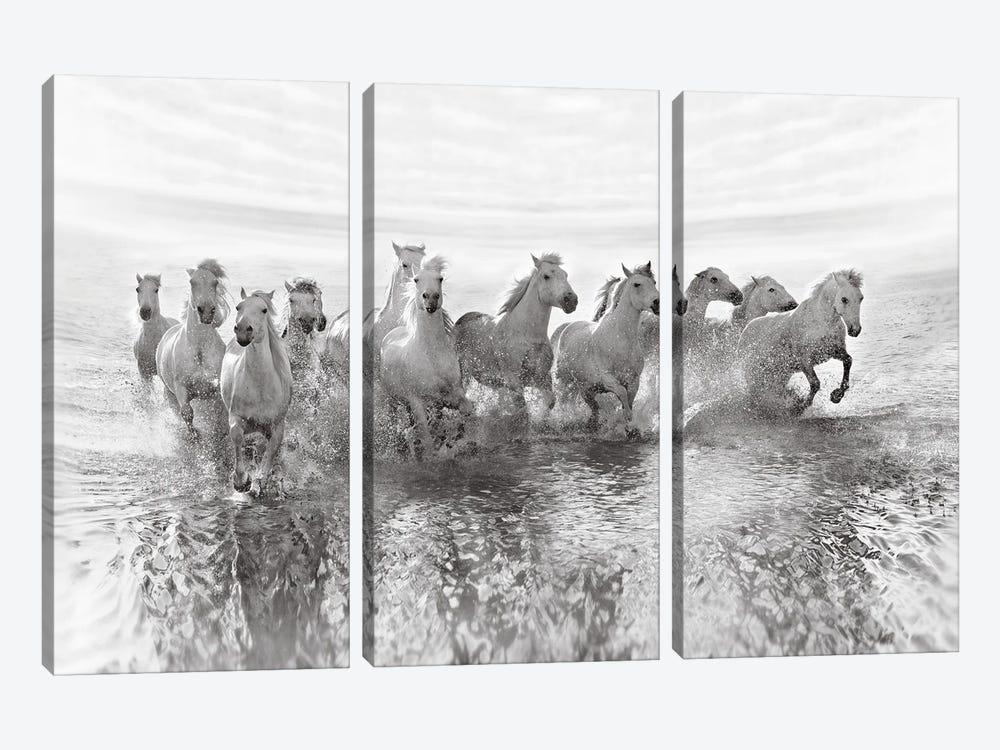 Illusion Of Power (13 Horse Power Though) by Roman Golubenko 3-piece Canvas Artwork