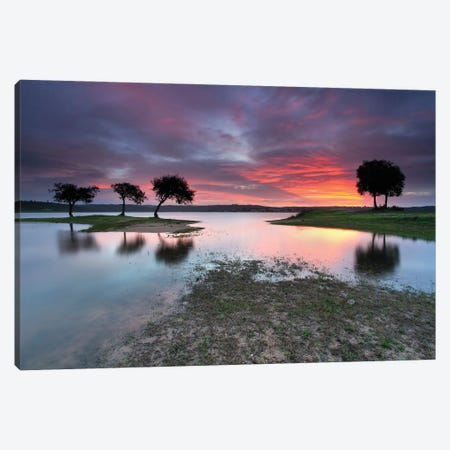 The Blessing Of The Sun Canvas Print #OXM4000} by Rui David Canvas Art