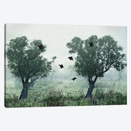 Crows In The Mist Canvas Print #OXM4002} by S. Amer Canvas Wall Art
