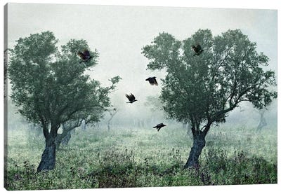 Crows In The Mist Canvas Art Print