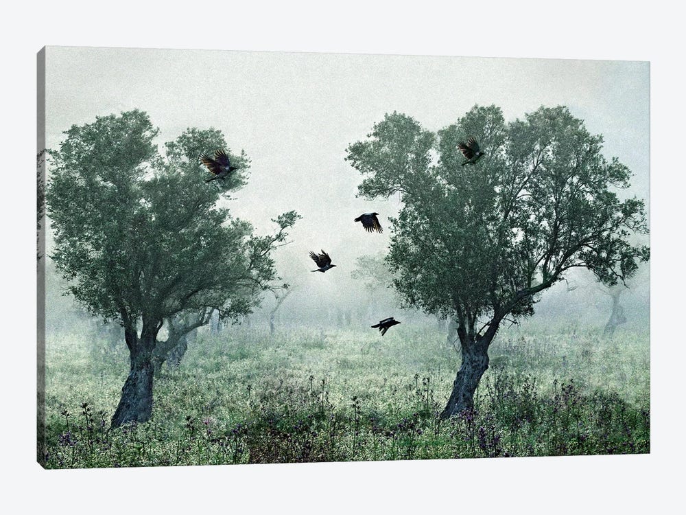 Crows In The Mist by S. Amer 1-piece Canvas Print