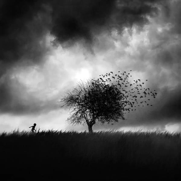 Printemps Perdu