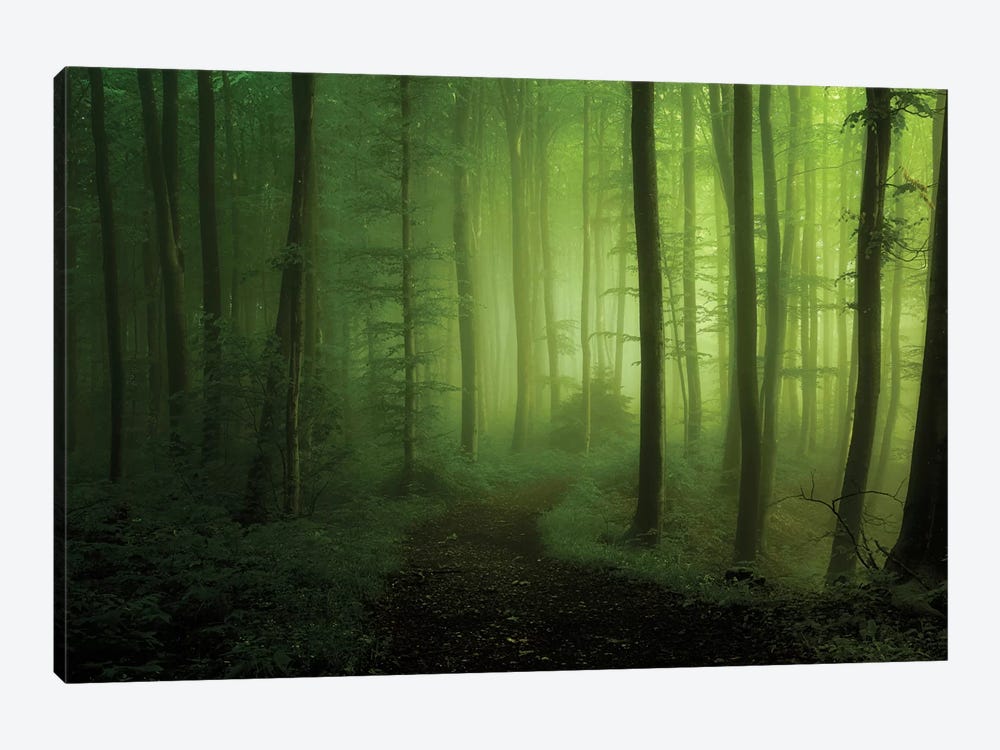 Spring Promise by Norbert Maier 1-piece Canvas Wall Art