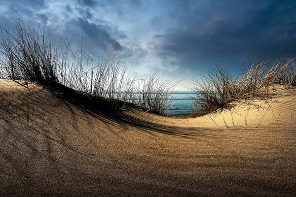 Coastal Sand Dunes: Dunes........... by Wim Schuurmans