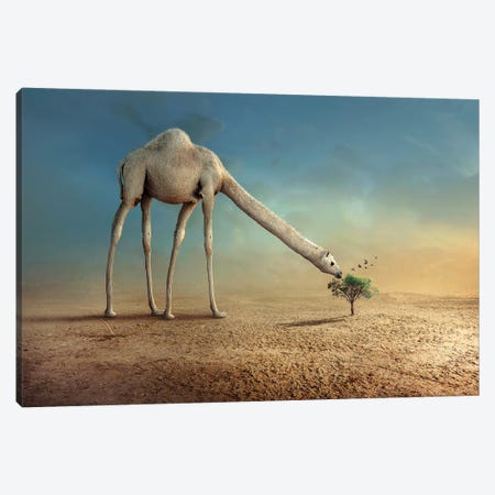 Camel And Tree Canvas Print #OXM4147} by Sulaiman Almawash Canvas Art