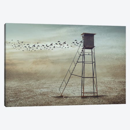 Go To Nature Canvas Print #OXM4153} by Sulaiman Almawash Canvas Art