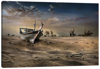 Ship In The Desert Canvas Art Print