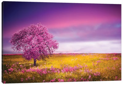 Pink Tree Canvas Art Print