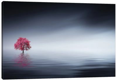 Pink Tree At Lake Canvas Art Print