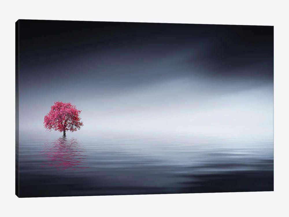 Pink Tree At Lake 1-piece Canvas Print